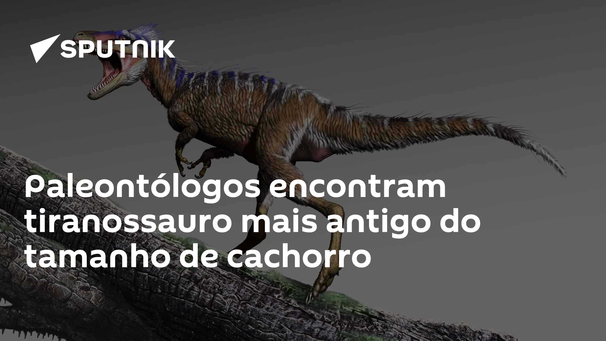 Filhotes de tiranossauro tinham o tamanho de um cachorro, revela