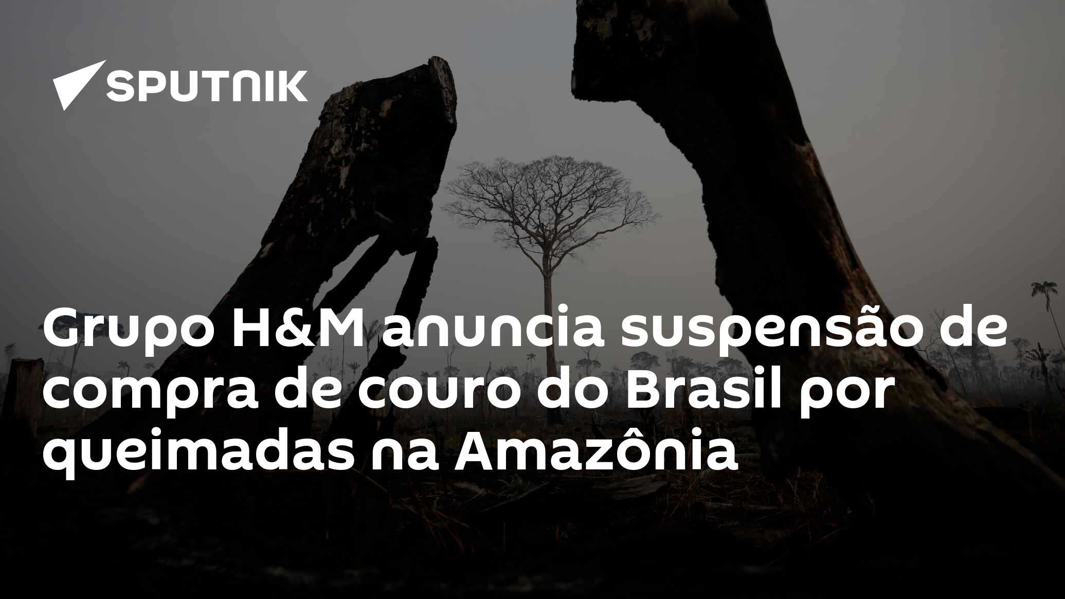 Couro: H&M anuncia suspensão de compra de couro do Brasil - Pequenas  Empresas Grandes Negócios