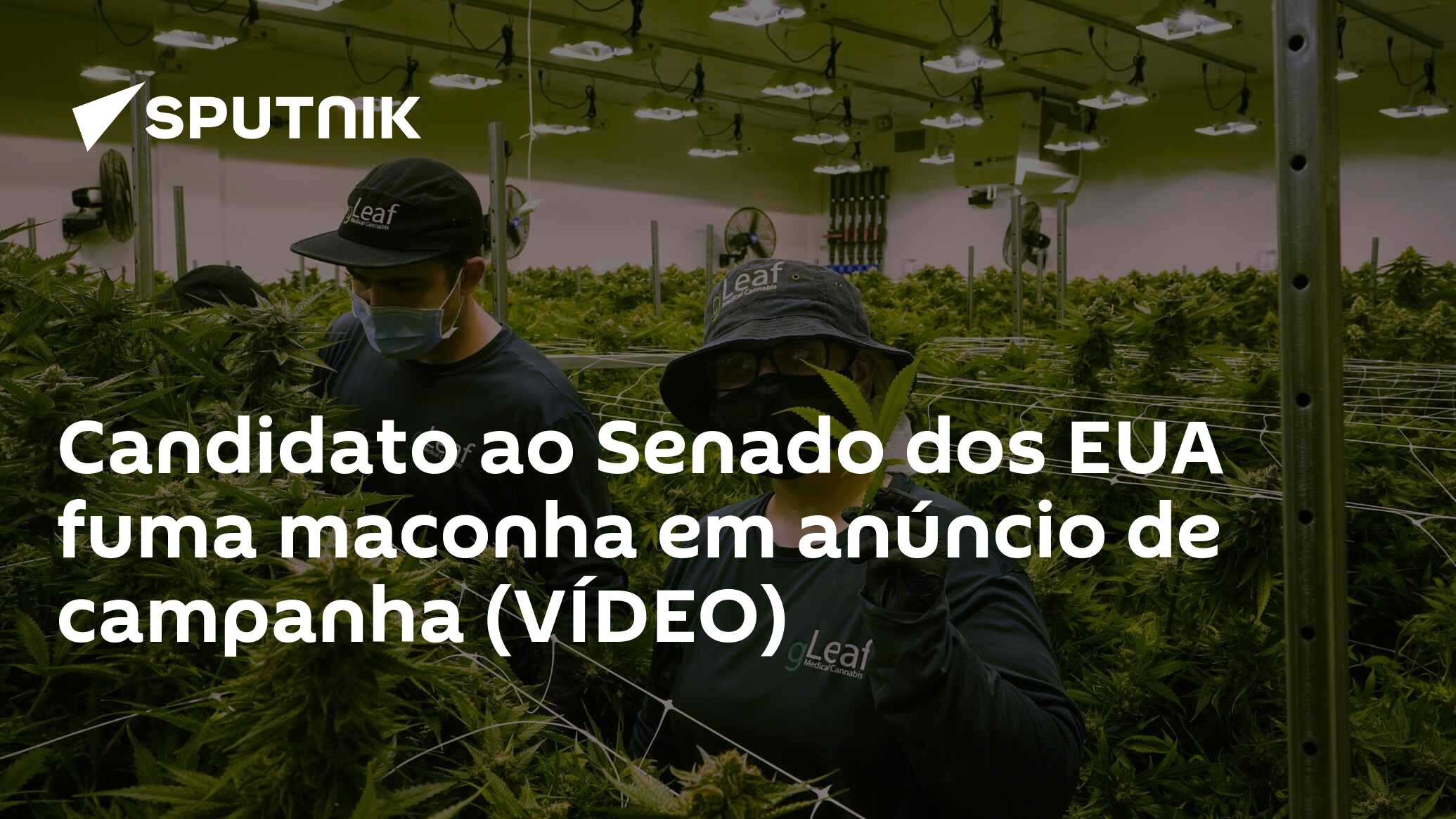 Candidato ao Senado faz campanha fumando maconha e justifica