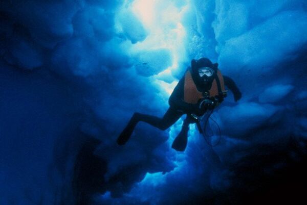 Ice diving é um tipo de mergulho sob o gelo - Sputnik Brasil