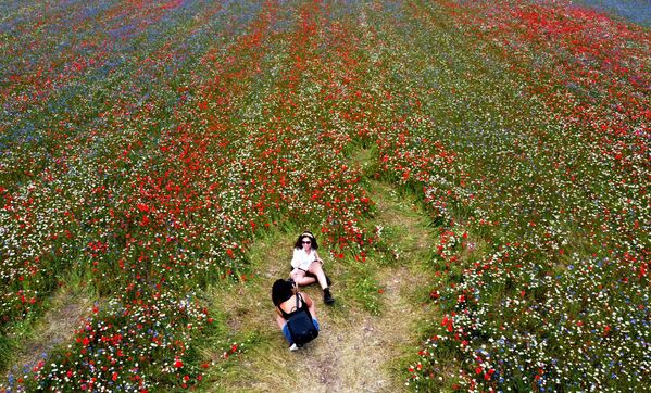 Mulheres em campo de flores próximo ao vilarejo de Castelluccio, na Itália - Sputnik Brasil