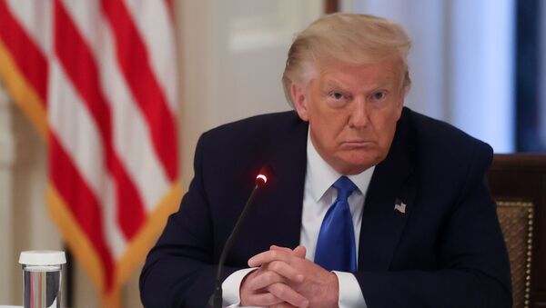Presidente dos EUA, Donald Trump, durante evento sobre segurança pública na Casa Branca, Washington, EUA, 13 de julho de 2020 - Sputnik Brasil