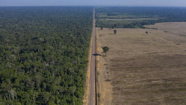 BR-163 divide trecho da Floresta Nacional do Tapajós e uma plantação de soja em Belterra, no Pará - Sputnik Brasil
