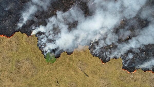 Amazônia: fumaça de incêndio em área desmatada em Porto Velho, Rondônia - Sputnik Brasil