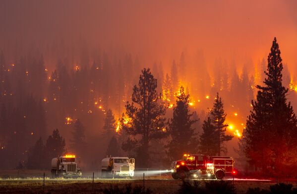 Incêndio florestal é combatido por bombeiros próximo da cidade de Susanville, no estado americano da Califórnia - Sputnik Brasil