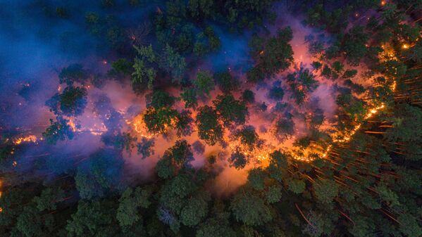 Imagem feita do céu mostra incêndio atingindo floresta na região russa de Krasnoyarsk durante o verão siberiano - Sputnik Brasil