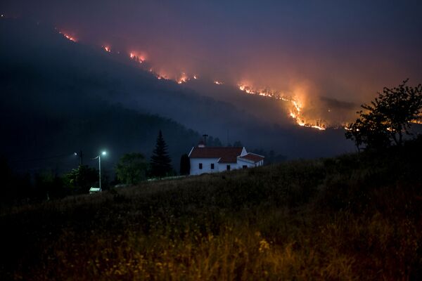 Incêndio florestal castiga Vale de Cuba, em Castelo Branco, Portugal - Sputnik Brasil