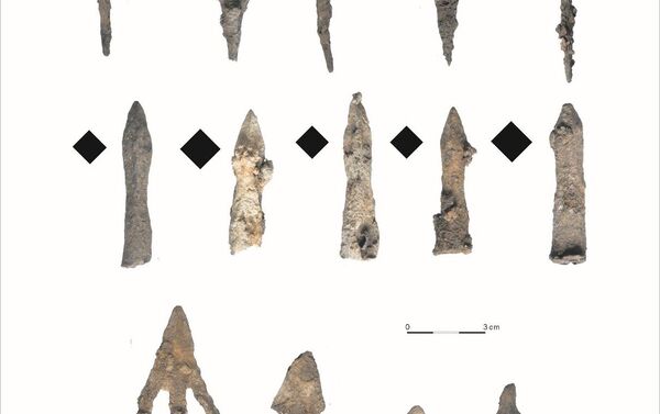 Mais de 200 pontas de flechas do século XIV foram encontradas na floresta de Sanok - Sputnik Brasil