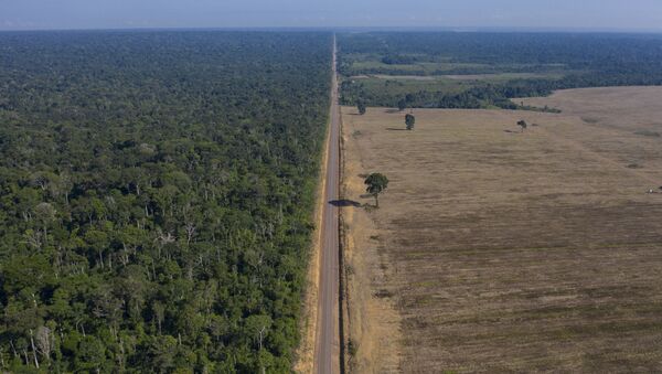 Rodovia BR-163, entre a Floresta Nacional do Tapajós e campo de cultivo de soja, em Belterra, no Pará - Sputnik Brasil