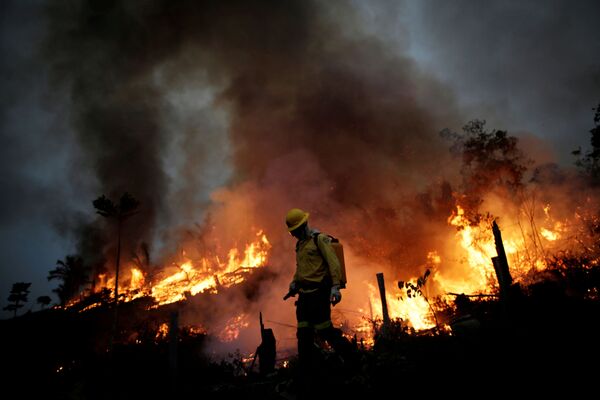 Membros da brigada contra incêndios do IBAMA tentam controlar chamas que consomem a floresta amazônica em Apuí, no Amazonas - Sputnik Brasil