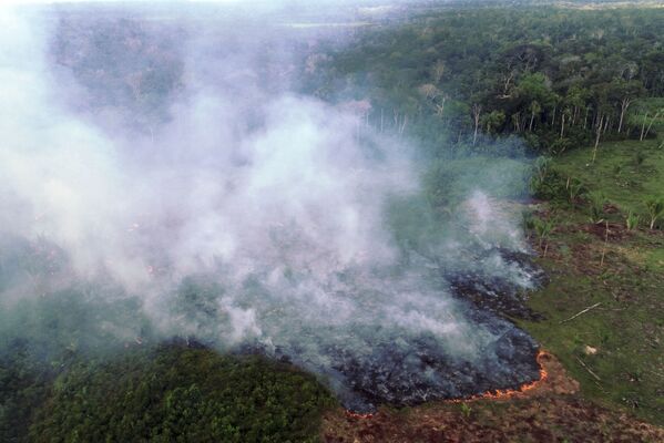 Vista aérea de grande incêndio em Cinturão Verde, a 113 quilômetros de Manaus, em 4 de agosto de 2020 - Sputnik Brasil