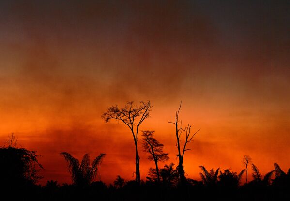 Fumaça provocada por incêndio florestal no Parque do Xingu, no Mato Grosso, em 6 de agosto - Sputnik Brasil