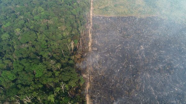 Foto de vista aérea revela o impacto da destruição em área afetada por incêndio na floresta da Amazônia, em 11 de agosto - Sputnik Brasil