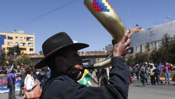 Manifestante participa de protesto na Bolívia contra adiamento das eleições no país  - Sputnik Brasil