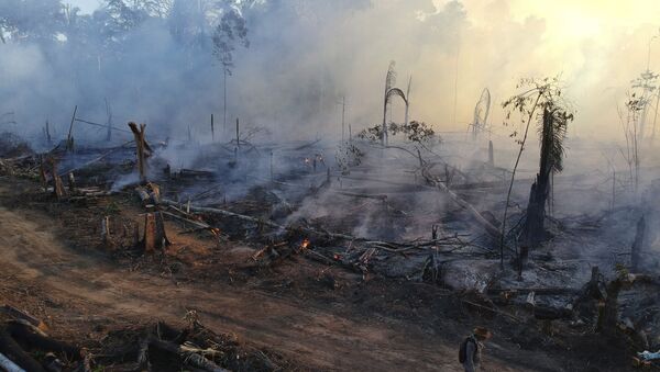 Homem anda em meio aos incêndios na floresta amazônica. - Sputnik Brasil