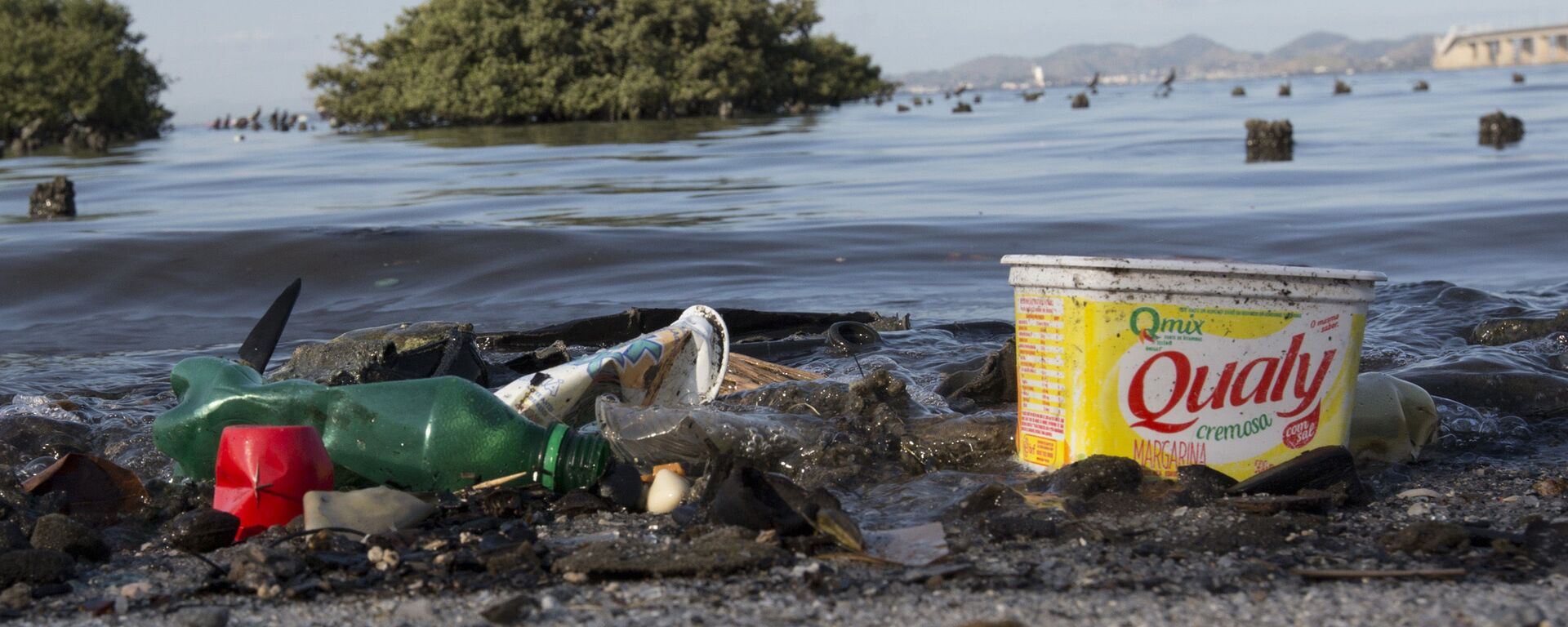 Lixo plástico é visto na baía de Guanabara, no Rio de Janeiro - Sputnik Brasil, 1920, 14.08.2020