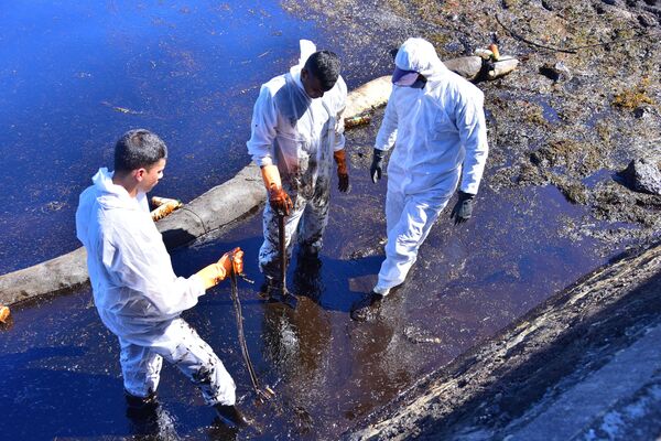 Voluntários retiram o petróleo derramado nas Ilhas Maurício
 - Sputnik Brasil