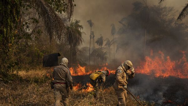 Bombeiros e brigadistas combatem incêndio florestal no Pantanal. - Sputnik Brasil