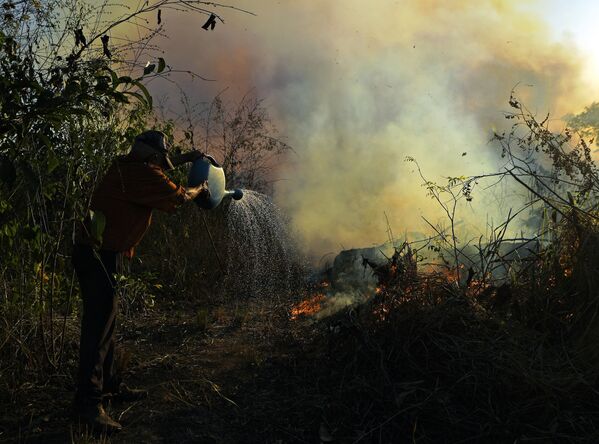 Agricultor tenta combater incêndio em uma reserva natural na floresta amazônica, Brasil - Sputnik Brasil