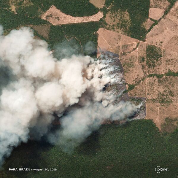 Imagens de satélite mostram incêndios que atingiram a Amazônia - Sputnik Brasil