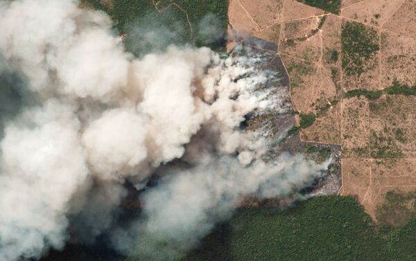 Imagem de satélite mostram incêndios que atingiram a Amazônia - Sputnik Brasil