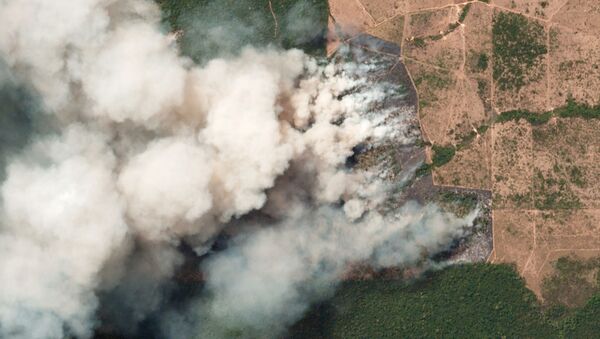 Imagem de satélite mostram incêndios que atingiram a Amazônia - Sputnik Brasil