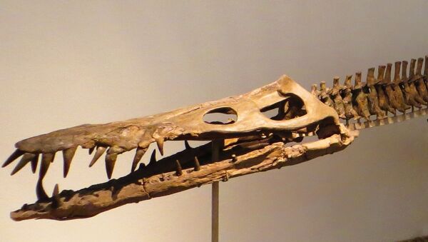 Liopleurodon, réptil marinho da família dos pliossauros  - Sputnik Brasil