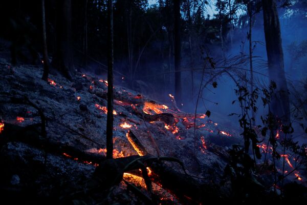 Uma área da selva amazônica ardendo perto de Ouro Preto, Rondônia, Brasil - Sputnik Brasil