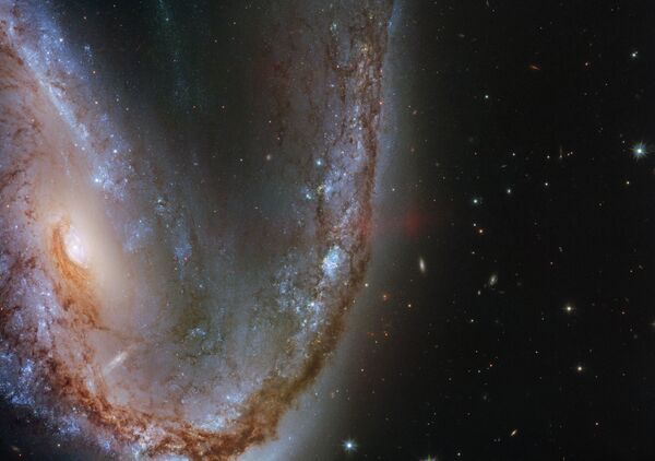 Galáxia distorcida NGC 2442 na constelação de Volans - Sputnik Brasil