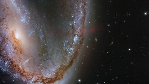 Galáxia distorcida NGC 2442 na constelação de Volans - Sputnik Brasil