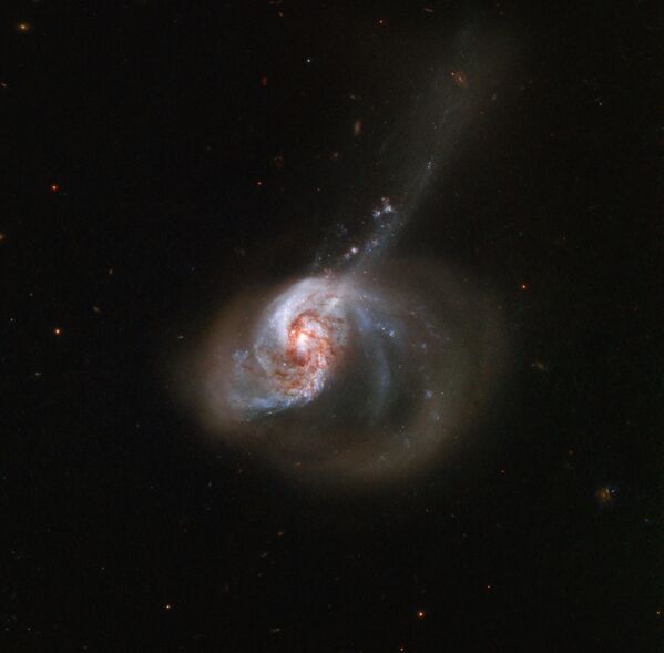 Galáxia NGC 1614, localizada a 200 milhões de anos-luz da Terra - Sputnik Brasil