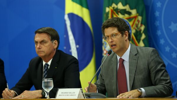 O presidente do Brasil, Jair Bolsonaro, com seu ministro do Meio Ambiente, Ricardo Salles - Sputnik Brasil