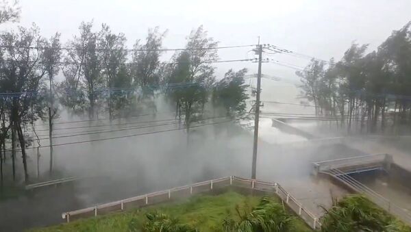 Frame de um vídeo retirado de redes sociais mostra a passagem de um tufão na ilha de Amani, no Japão, em 6 de setembro de 2020. - Sputnik Brasil