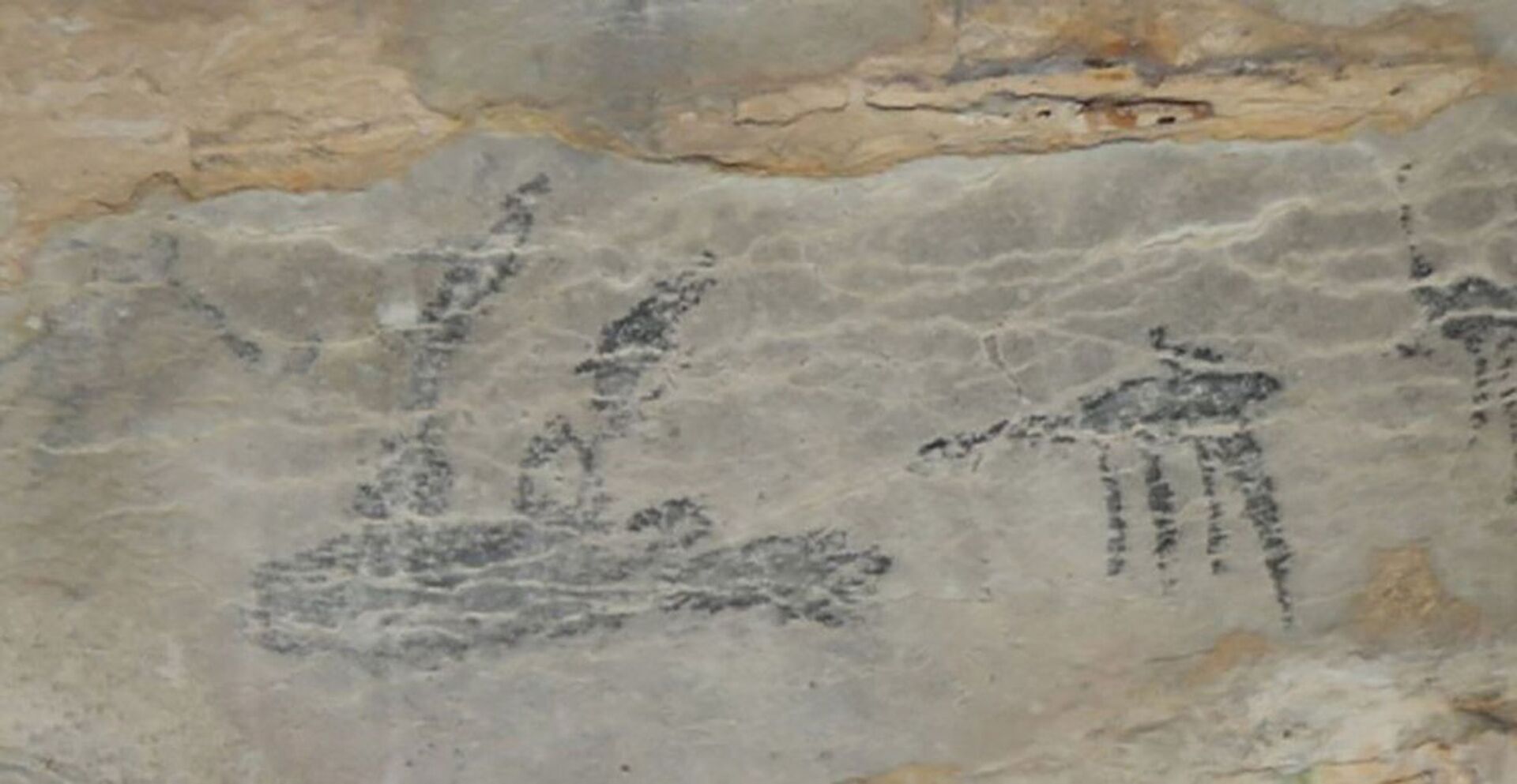 Descoberta tumba de 6 mil anos na península Arábica com evidências inéditas de cão doméstico (FOTO) - Sputnik Brasil, 1920, 13.04.2021
