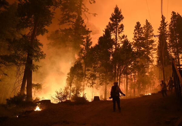 Bombeiros tentam combater incêndio florestal na Califórnia
 - Sputnik Brasil