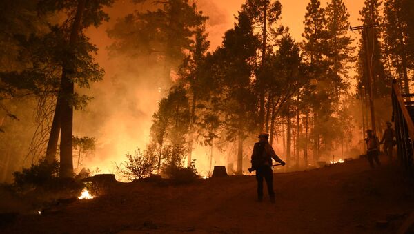 Bombeiros tentam combater incêndio florestal na Califórnia - Sputnik Brasil