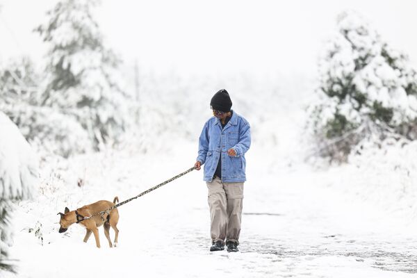 Mulher passeia com cachorro durante nevasca no Colorado, EUA
 - Sputnik Brasil