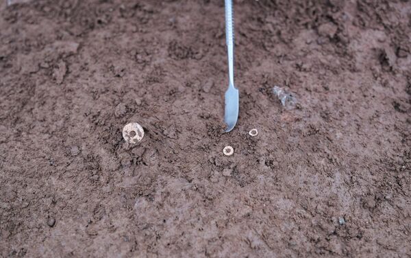 Descoberta de túmulos nos arredores da comuna francesa de Capendu - Sputnik Brasil