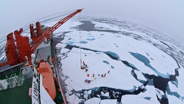 Calotas polares do Ártico vistas a partir do quebra-gelo chinês Xue Long - Sputnik Brasil