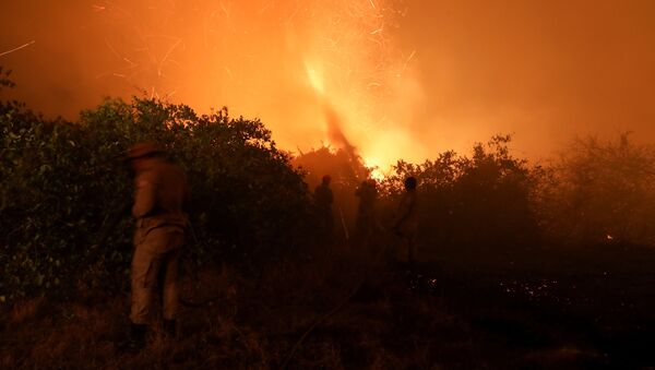 Em Poconé, no Mato Grosso, bombeiros tentam extinguir uma queimada no Pantanal, em 26 de agosto de 2020. - Sputnik Brasil