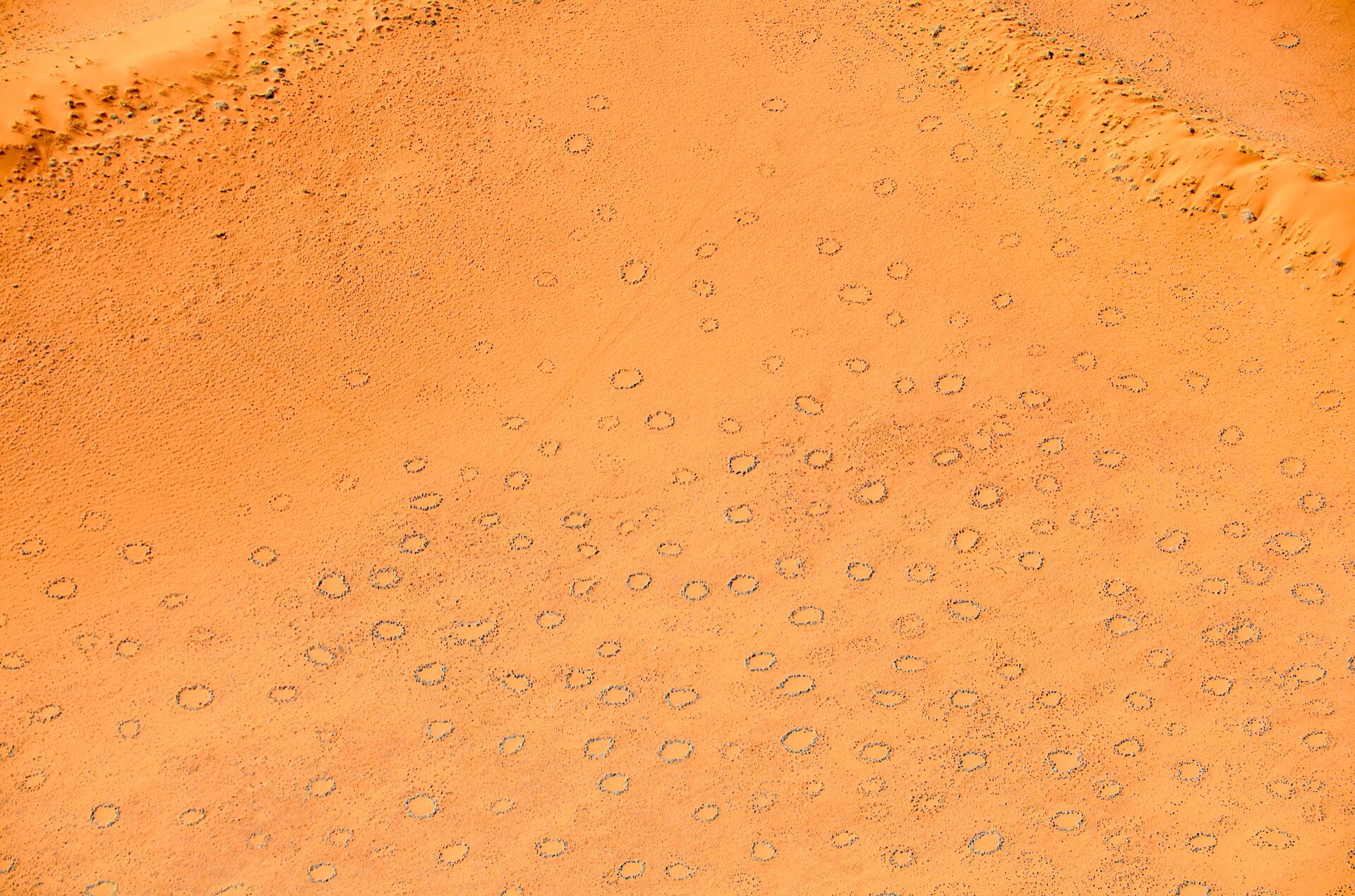 Resolvido enigma dos círculos de fadas no deserto do Namibe - Sputnik Brasil, 1920, 19.02.2021