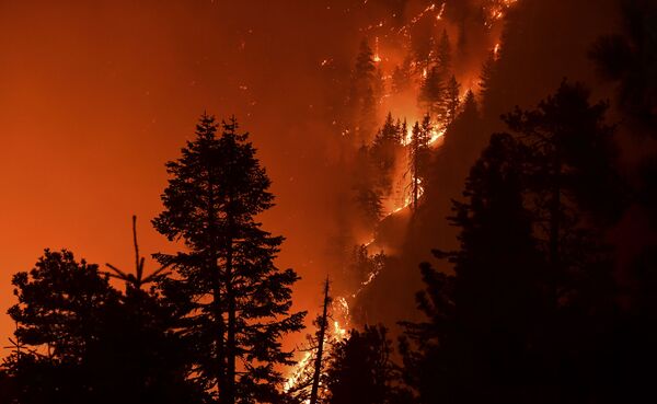 Incêndios florestais em Los Angeles, Califórnia
 - Sputnik Brasil