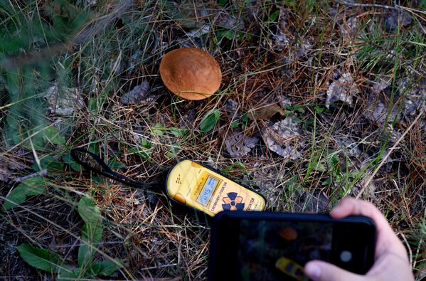 Medição do nível de radiação na zona de exclusão de Chernobyl
 - Sputnik Brasil