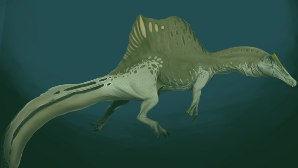 Ilustração do réptil Spinosaurus aegyptiacus - Sputnik Brasil