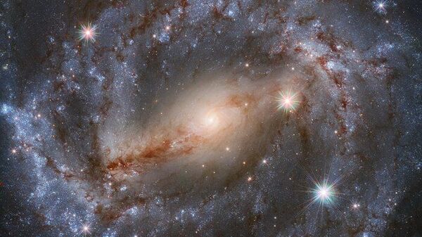 Imagem do Telescópio Espacial Hubble da NASA / ESA apresenta a galáxia espiral NGC 5643 na constelação de Lupus - Sputnik Brasil