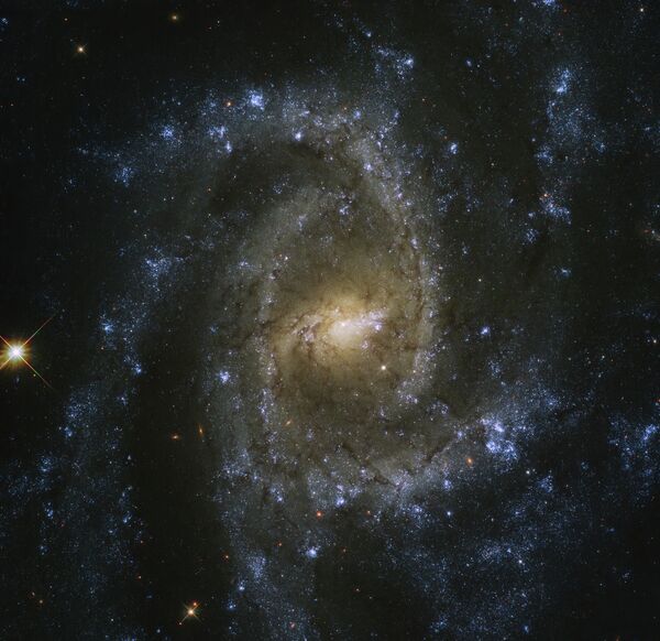 Galáxia espiral barrada (SB, na sigla em inglês) NGC 2835 na constelação Hydra - Sputnik Brasil