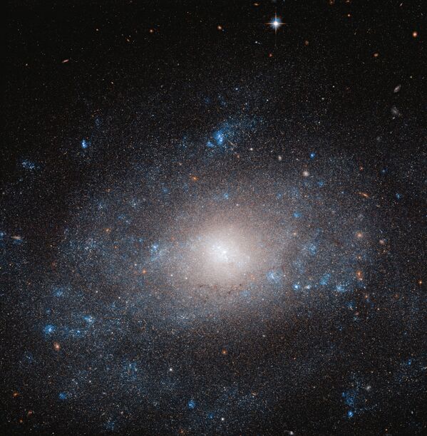 Registro de galáxia espiral NGC 5585 na constelação Ursa Maior - Sputnik Brasil
