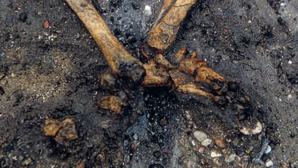 Arqueólogos descobrem um túmulo viking na pequena vila de Gerdrup - Sputnik Brasil