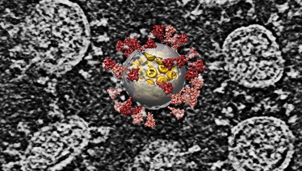 Representação artística sobreposta sobre uma imagem de diversos vírus SARS-CoV-2 - Sputnik Brasil