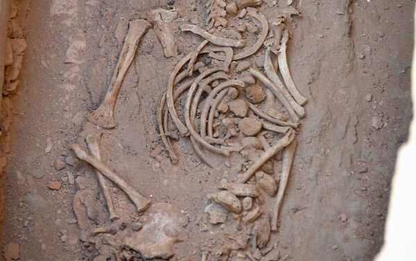 Esqueletos humanos descobertos em túmulo no norte do Cazaquistão - Sputnik Brasil
